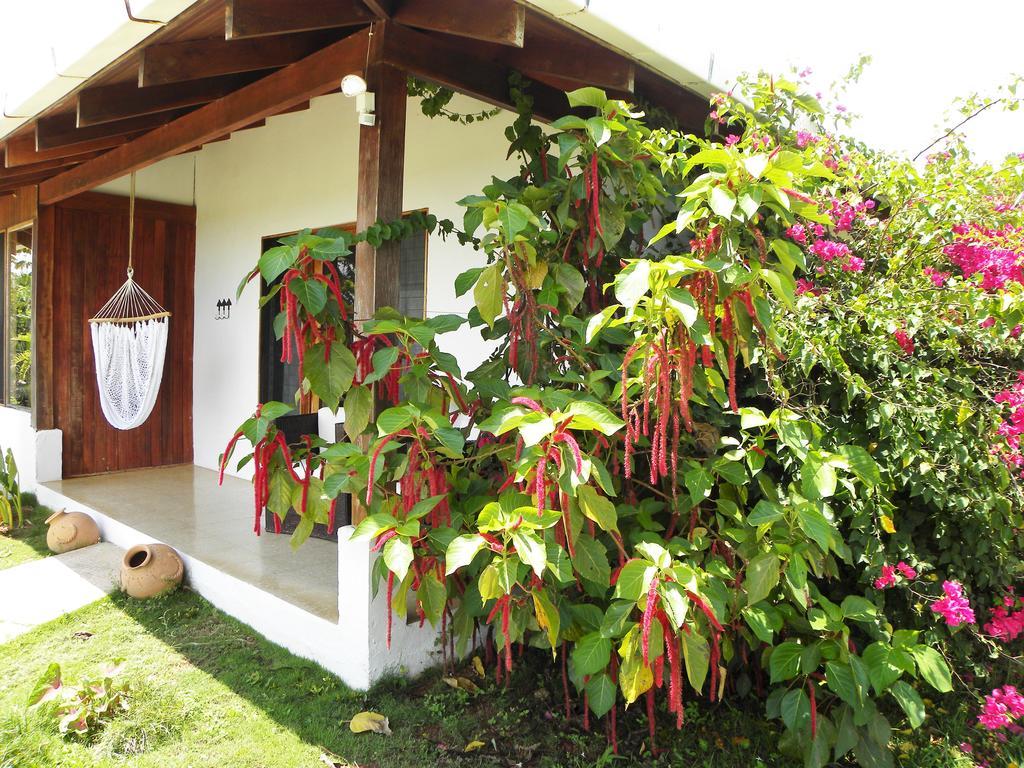 Hotel Lookout Playa Tortuga Ojochal Chambre photo