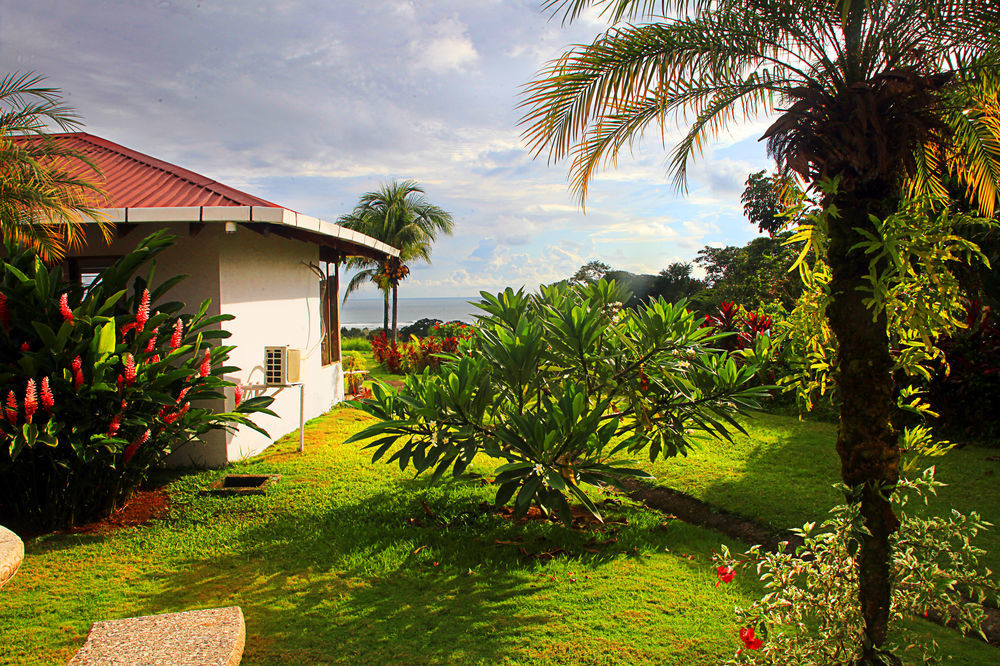 Hotel Lookout Playa Tortuga Ojochal Extérieur photo